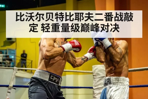 light heavyweight boxing